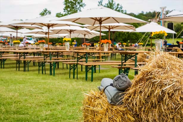 10 Tips for Hosting a Spectacular Outdoor Summer Event