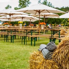 10 Tips for Hosting a Spectacular Outdoor Summer Event